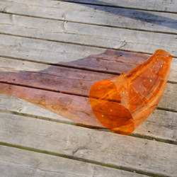  Cornucopia image 2